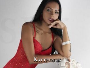 Kattfoster