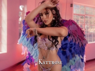 Kattrose