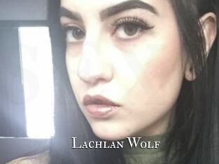 Lachlan_Wolf