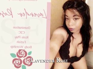 Lavender_Rose