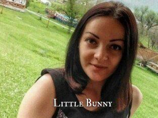 Little_Bunny_