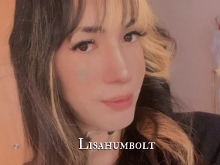 Lisahumbolt