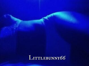 Littlebunny66