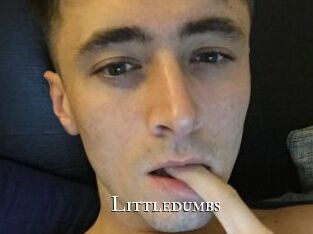 Littledumbs