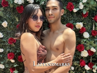 lizyandmarks cams