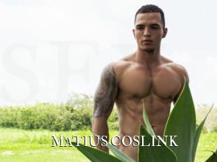 MATIUS_COSLINK