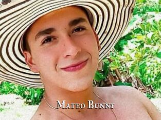 Mateo_Bunny