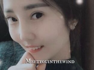 Meetyouinthewind