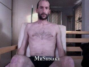 MrShnake