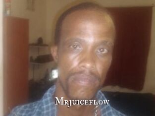 Mrjuiceflow