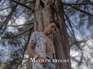 Mathew_brooks