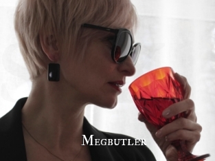 Megbutler