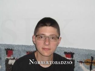Norbertobadzso