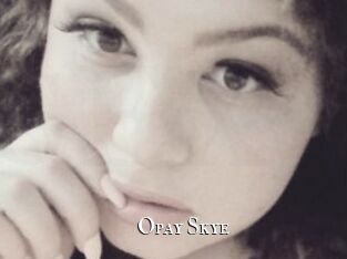 Opay_Skye