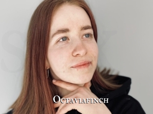 Octaviafinch