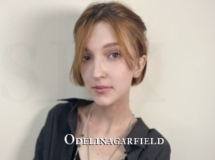 Odelinagarfield