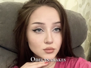 odelynahakes cams