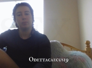 Odettacaecus19