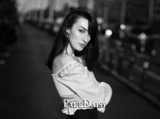 PaleDaisy cams