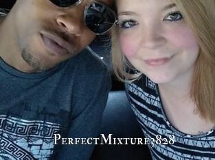PerfectMixture3828 cams
