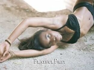 PlayfulPrey