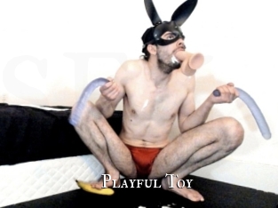 Playful_Toy