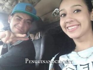 Penguinandcricket