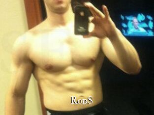 Rod_S cams