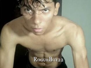 RogueBoy22