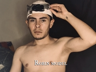 Robin_model