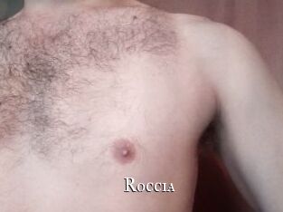 roccia cams
