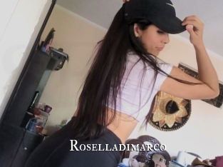 roselladimarco cams
