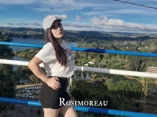 Rosimoreau