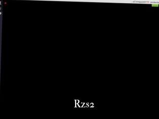 Rzs2