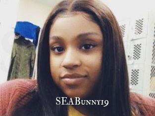 SEABunny19