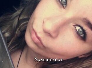 Sambucacat