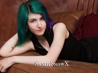 SandySnowX