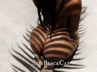 SexyBlackCat_