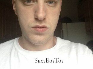 SexyBoyToy