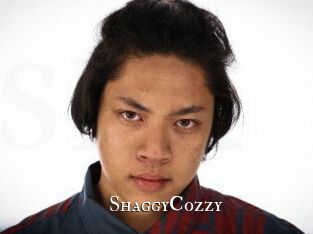 ShaggyCozzy