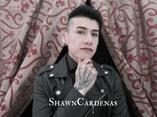 ShawnCardenas