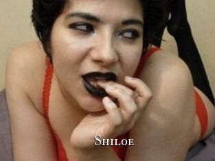 Shiloe