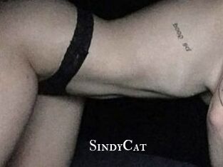 SindyCat