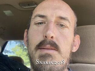 Snakec2018