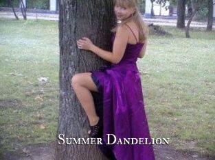 Summer_Dandelion