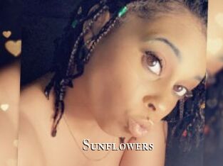 Sunflowers cams