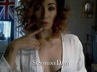 SunshineDaisy