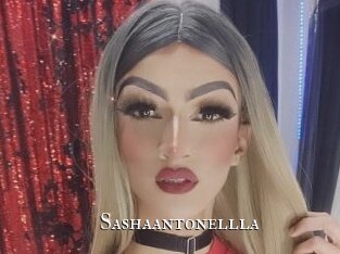 sashaantonellla cams