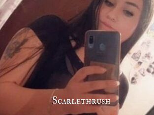 Scarlethrush