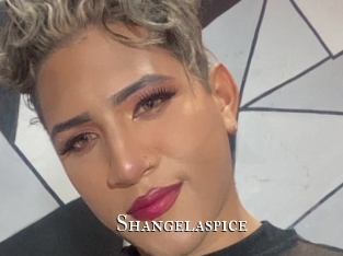 shangelaspice cams